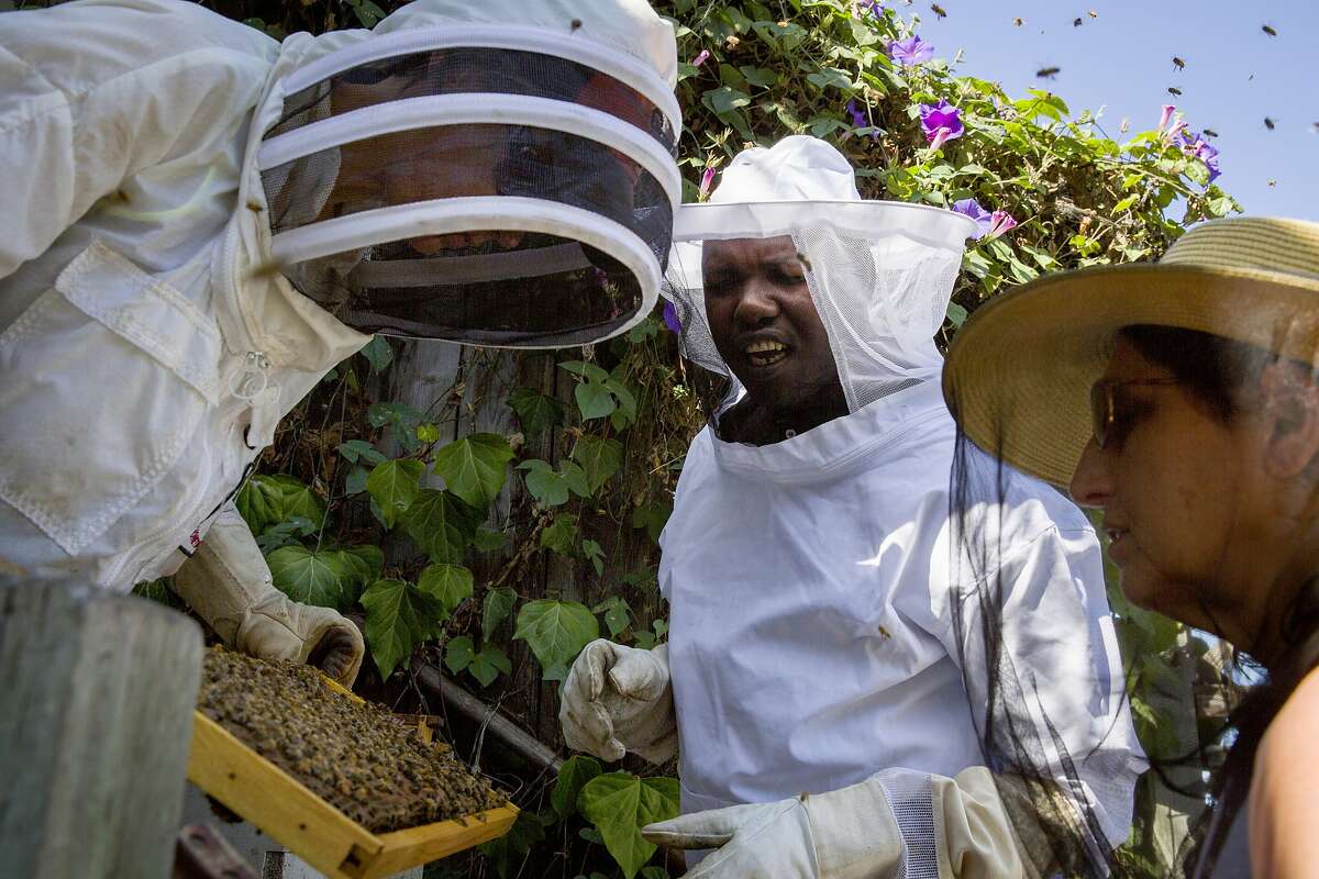 From left: Beekeepers Meredith May, Ojok Simon and Arial Gilbert check on the bees at the Connecticut Friendship Garden on Thursday, Sept. 21, 2017, in San Francisco, Calif. Simon, a blind beekeeper, became one of the three inaugural winners of the Holman Prize for Blind Ambition, a $25,000 award for blind and low vision adventurers offered by the LightHouse for the Blind and Visually Impaired in San Francisco.