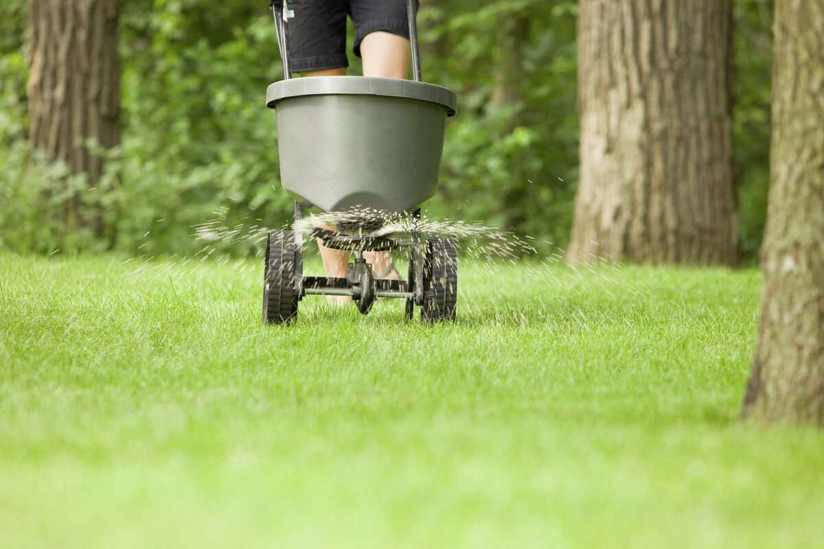 Don’t fertilize your lawn yet. It’s compost time