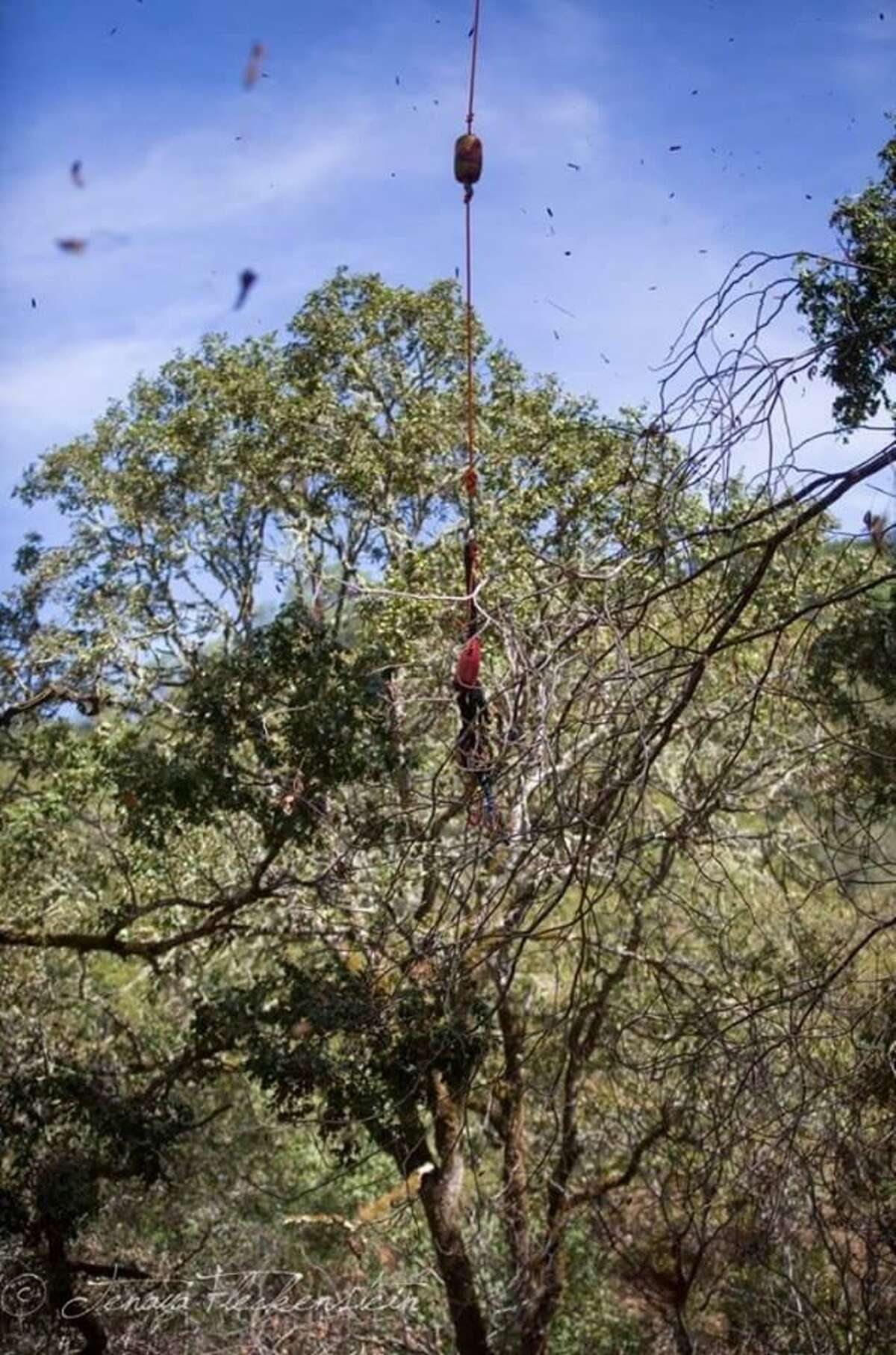 A helicopter crew from the Sonoma County Sheriff’s Office was called on Sunday to rescue an injured 71-year-old man who fell down a 200-foot ravine near Healdsburg while hunting pigs.