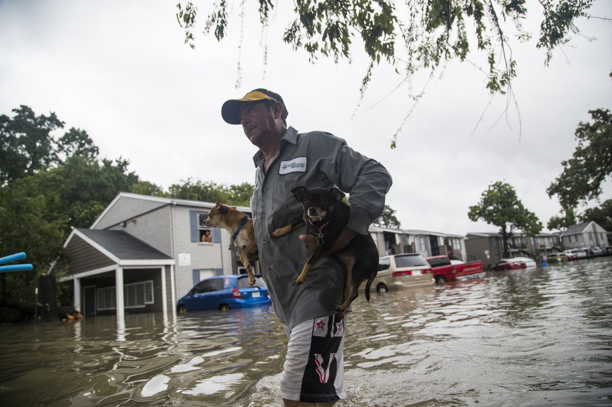 Catholic faith moves Houston's 'Mattress Mack' to shelter Hurricane Harvey  victims - Deseret News