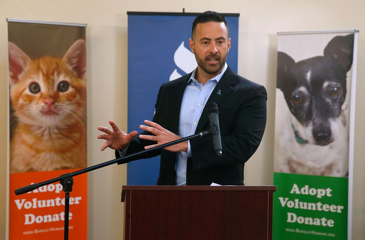 Jarrod Wise of the Better Business Bureau speaks during a news conference at the Berkeley Humane animal shelter in Berkeley, Calif. on Tuesday, Sept. 26, 2017. A study released by the BBB warns that tens of thousands of consumers have been scammed by fraudulent pet breeders on the internet.