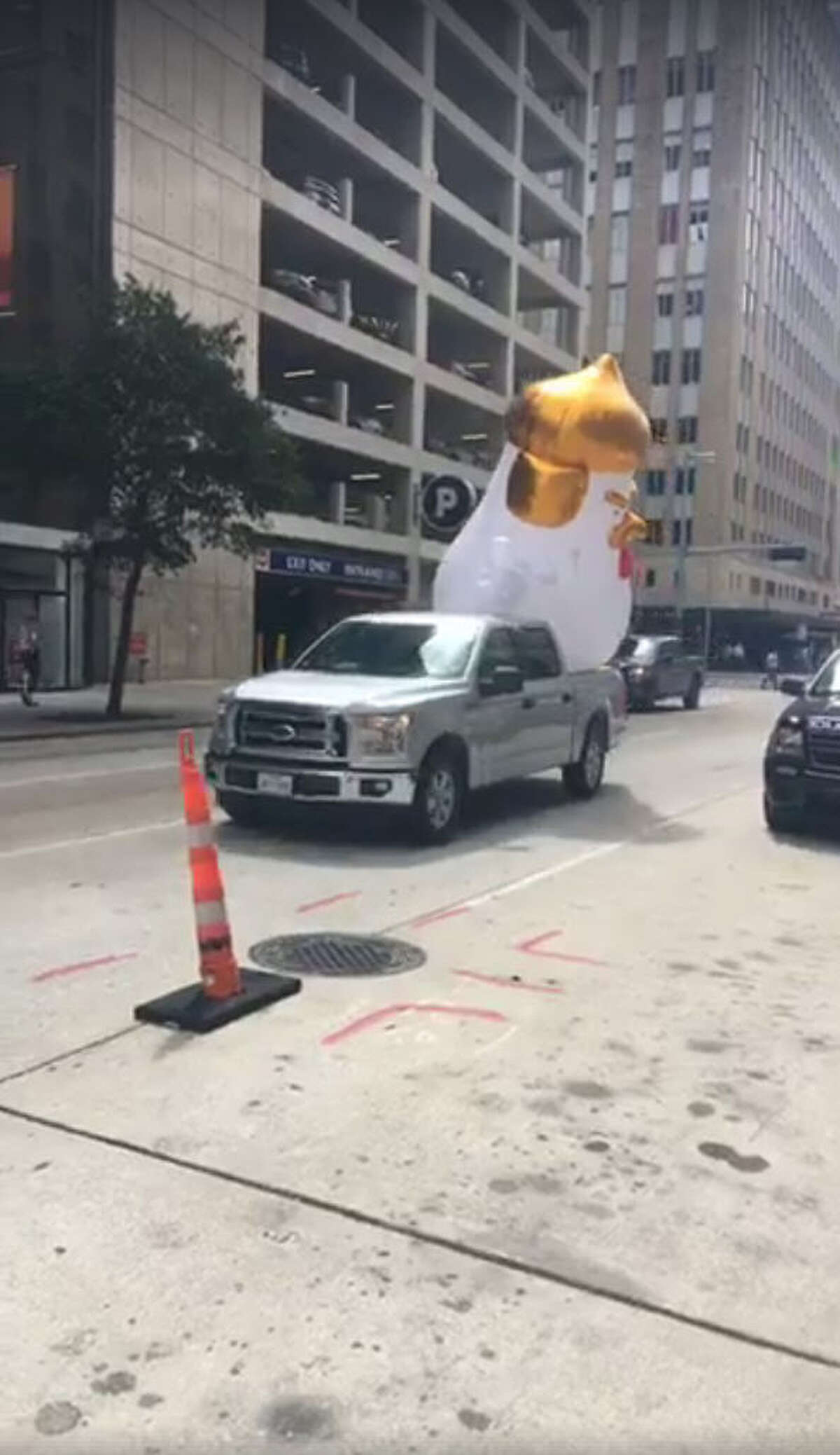 Why A Houston Woman Sent A Giant Inflatable Donald Trump Chicken To Sen