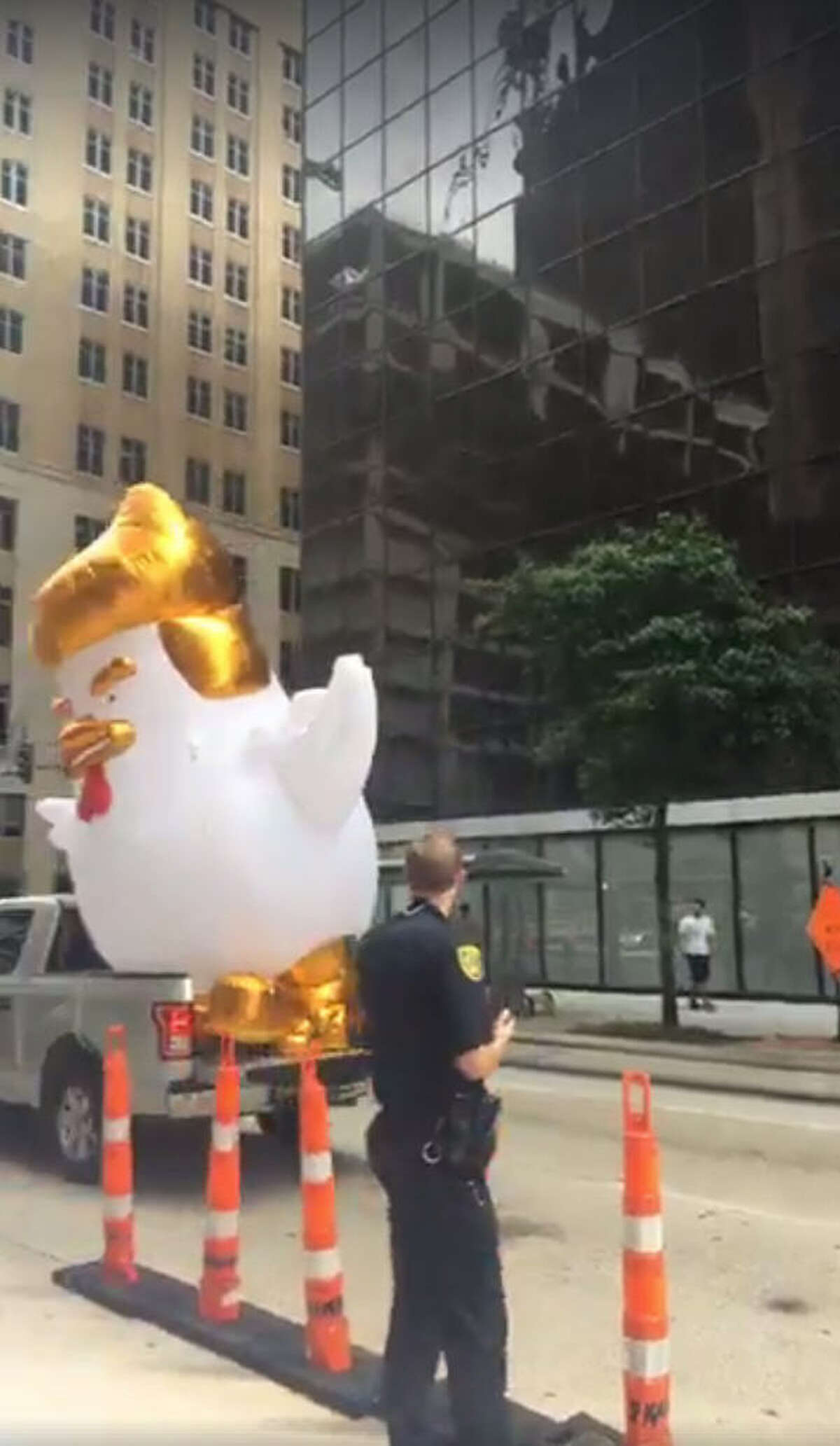 Why A Houston Woman Sent A Giant Inflatable Donald Trump Chicken To Sen