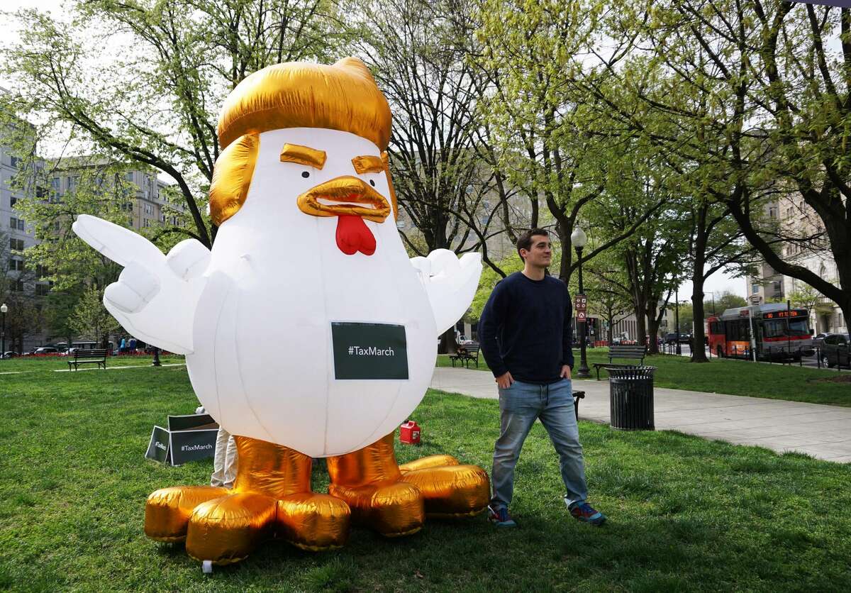Inflatable Chicken Resembling Donald Trump Becomes Universal Protest Symbol