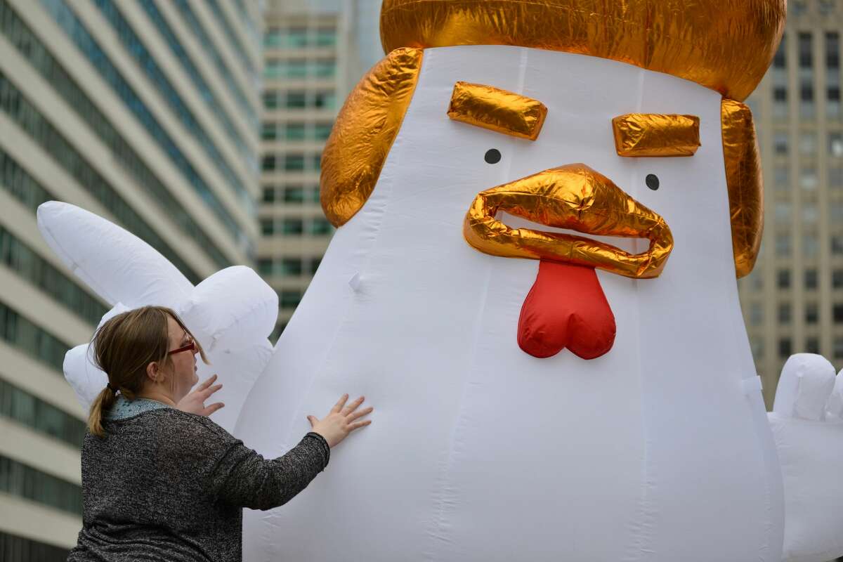 Giant Inflatable Trump Chicken Hits Houston Streets