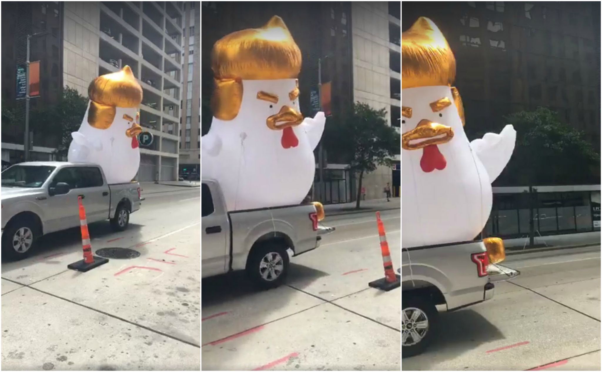 Why A Houston Woman Sent A Giant Inflatable Donald Trump Chicken To Sen