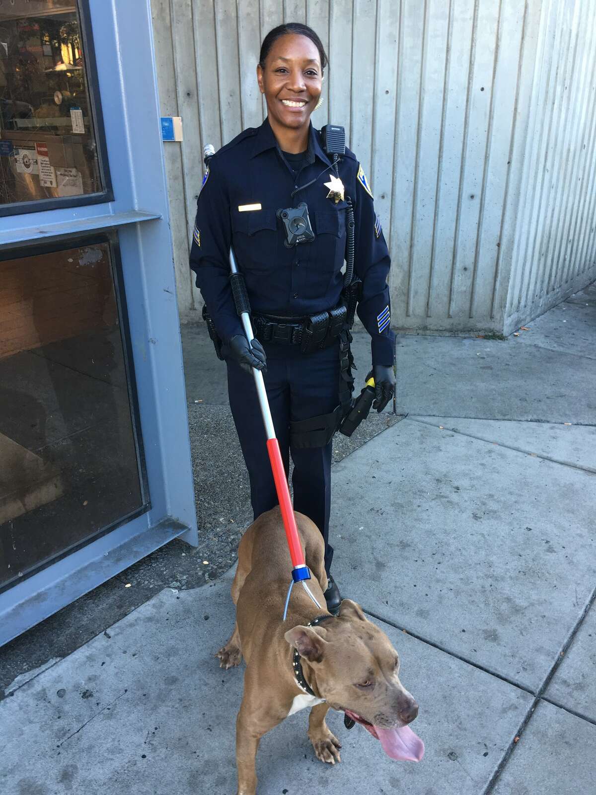A dog was rescued from the BART tracks on Wednesday after causing delays during the morning commute.