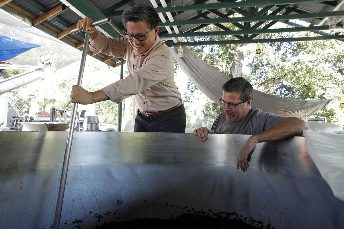 John Chiang helps to punch down a batch of fermenting wine grapes as he takes a tour of the Benziger Family Winery with Joe Benziger for his campaign for governor in Glen Ellen, Calif., on Tuesday, September 26, 2017.
