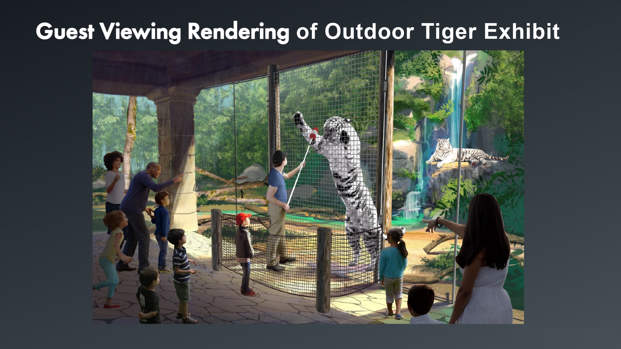 Houston's Downtown Aquarium mistreats white tigers, lawsuit says