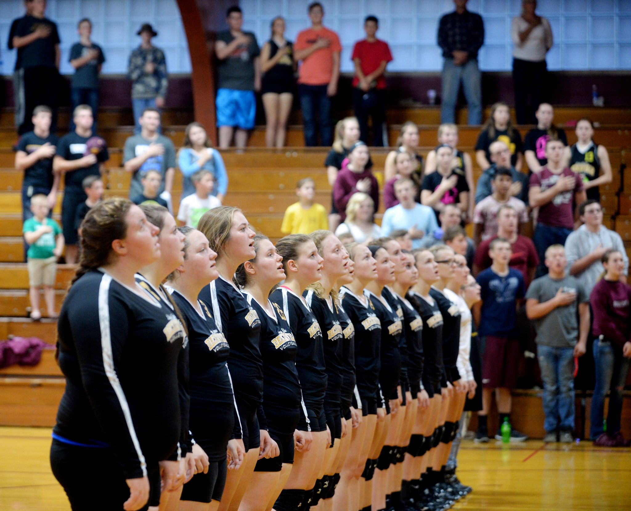 Dryden at Deckerville — Volleyball 2017