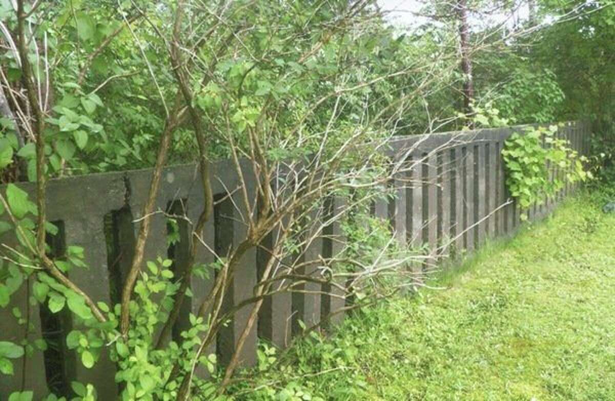 A village named Gordonville