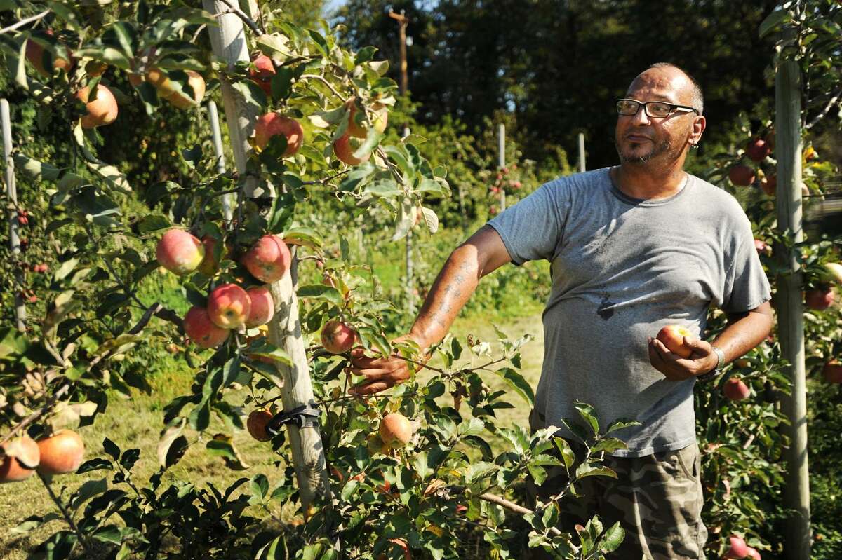 Crop’s up at some area orchards