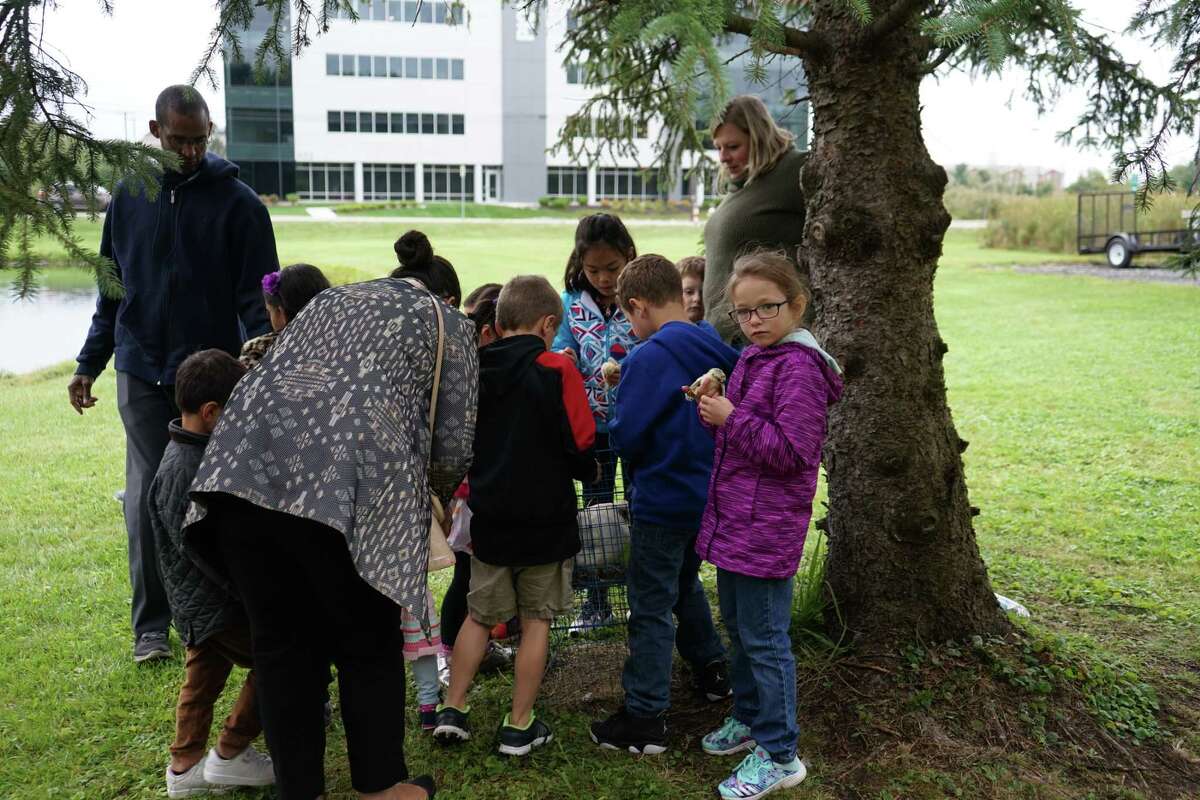 Photos: Check out the fun at Colonie library