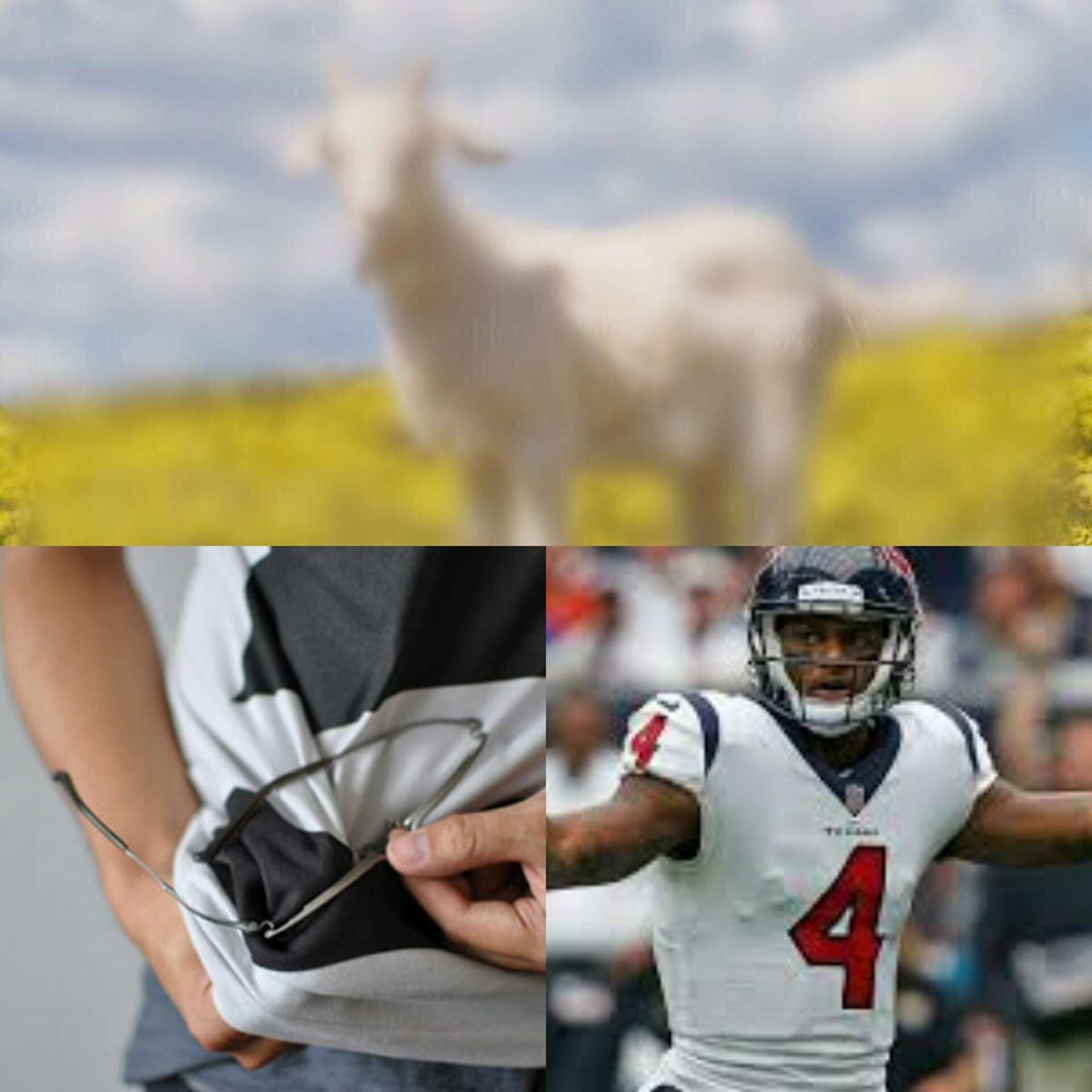 Memes Celebrate Texans' Huge Win, Mock Cowboys' Loss