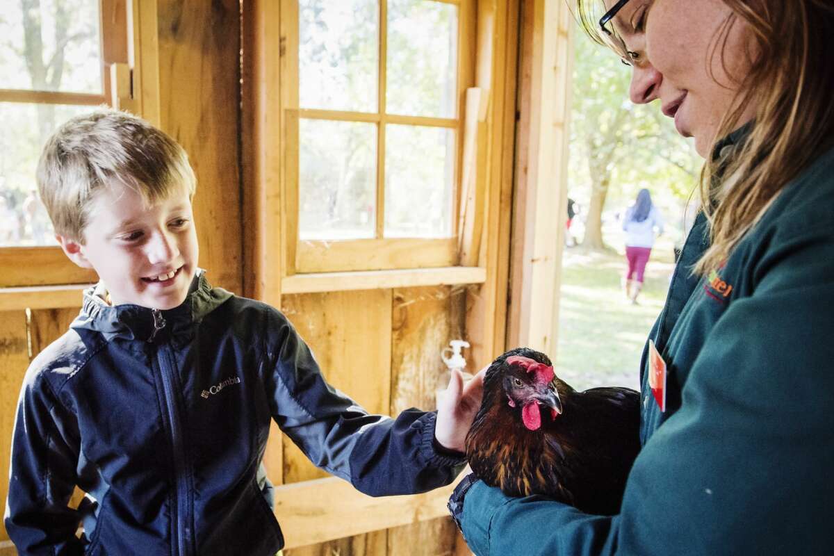 Fall Harvest Festival at Chippewa Nature Center