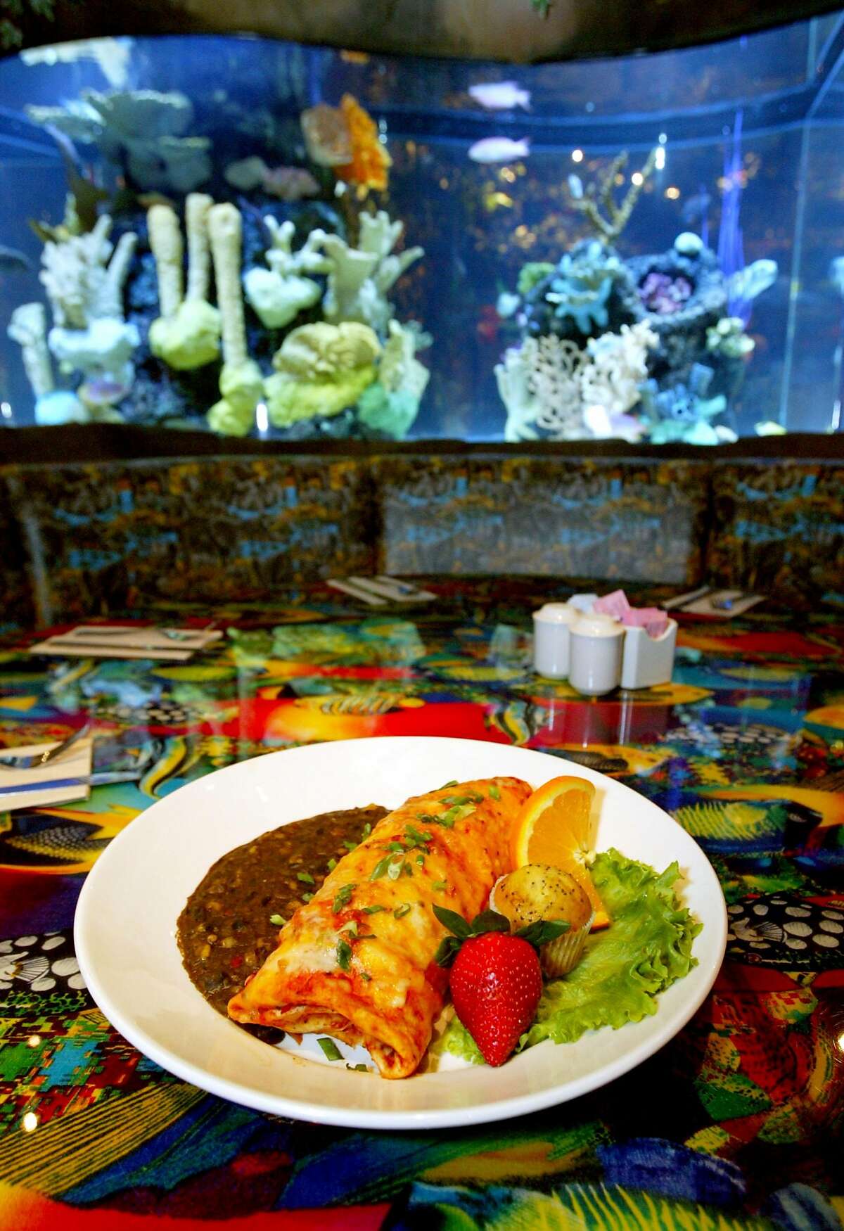 Dining Guide cover story. Rainforest Cafe, 53rd and Seawall Blvd., Galveston. The "Jungle Wrap" is sort of a giant breakfast enchilada. Craig H. Hartley/Special to the Chronicle