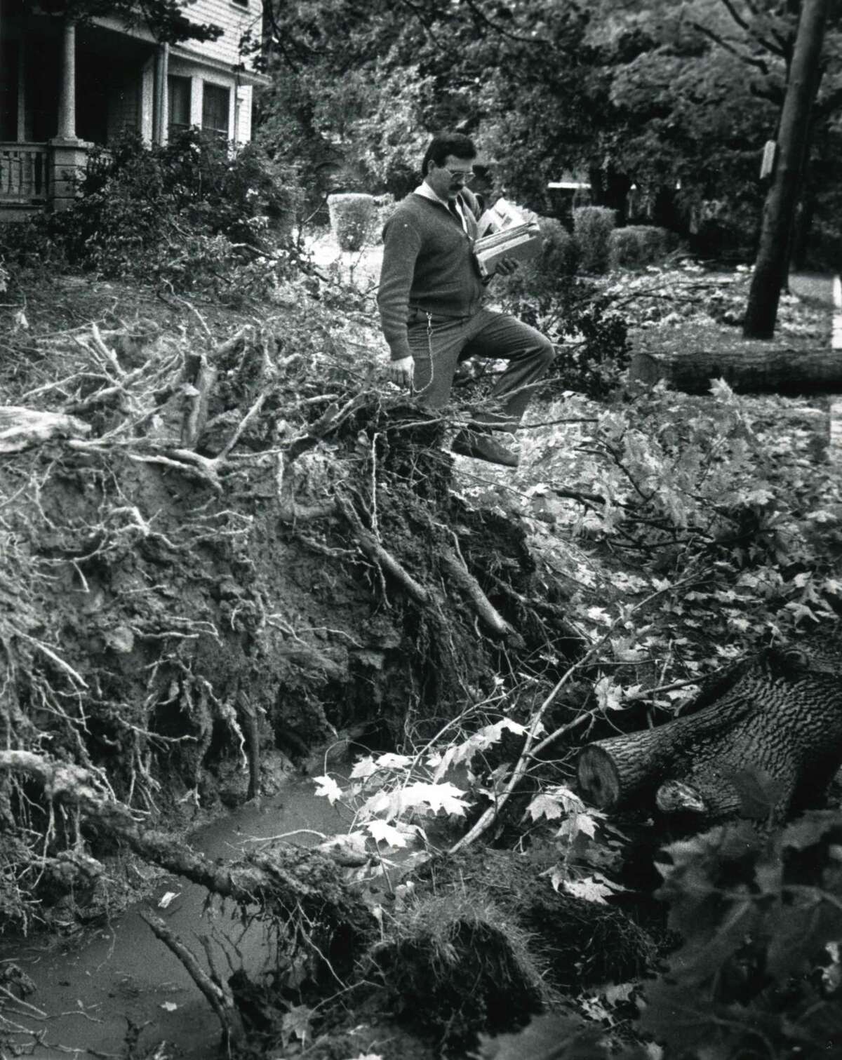 30 years after storm, utility stronger
