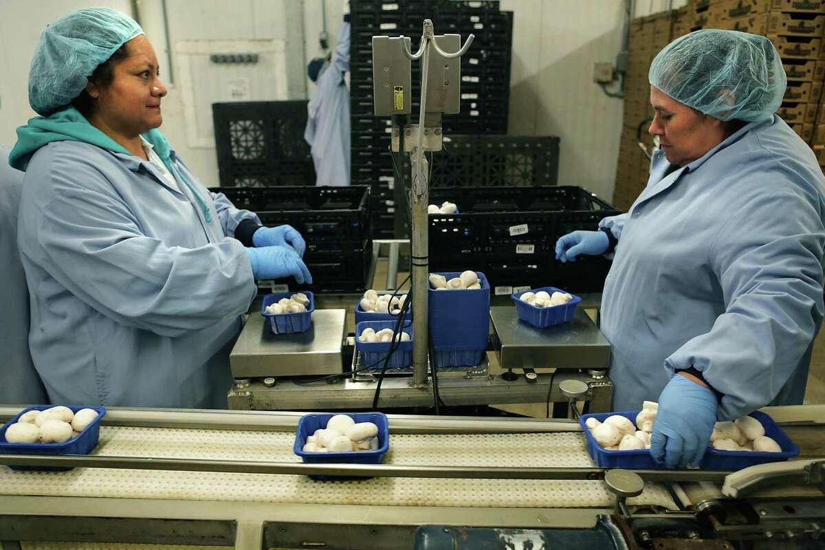 Story photo for Fact check: Latina workers make 54% as much as white male workers