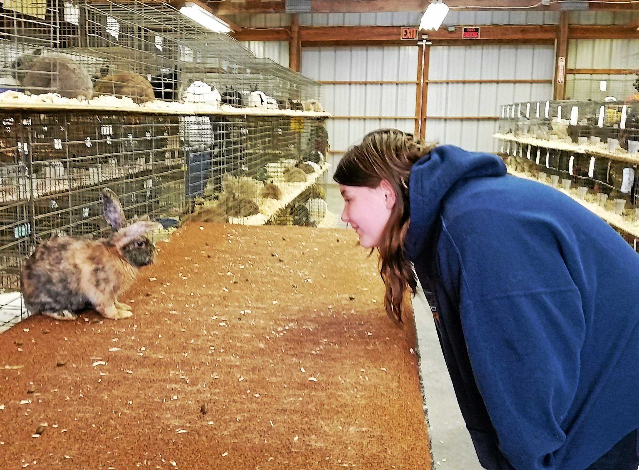 Annual Harwinton Fair happening this weekend