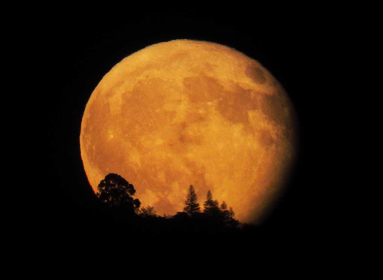 Glowing 'Harvest Moon' lights up the Bay Area sky
