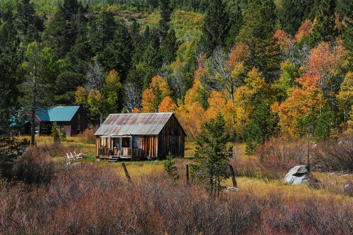 Unusual fall color season finally arrives in California