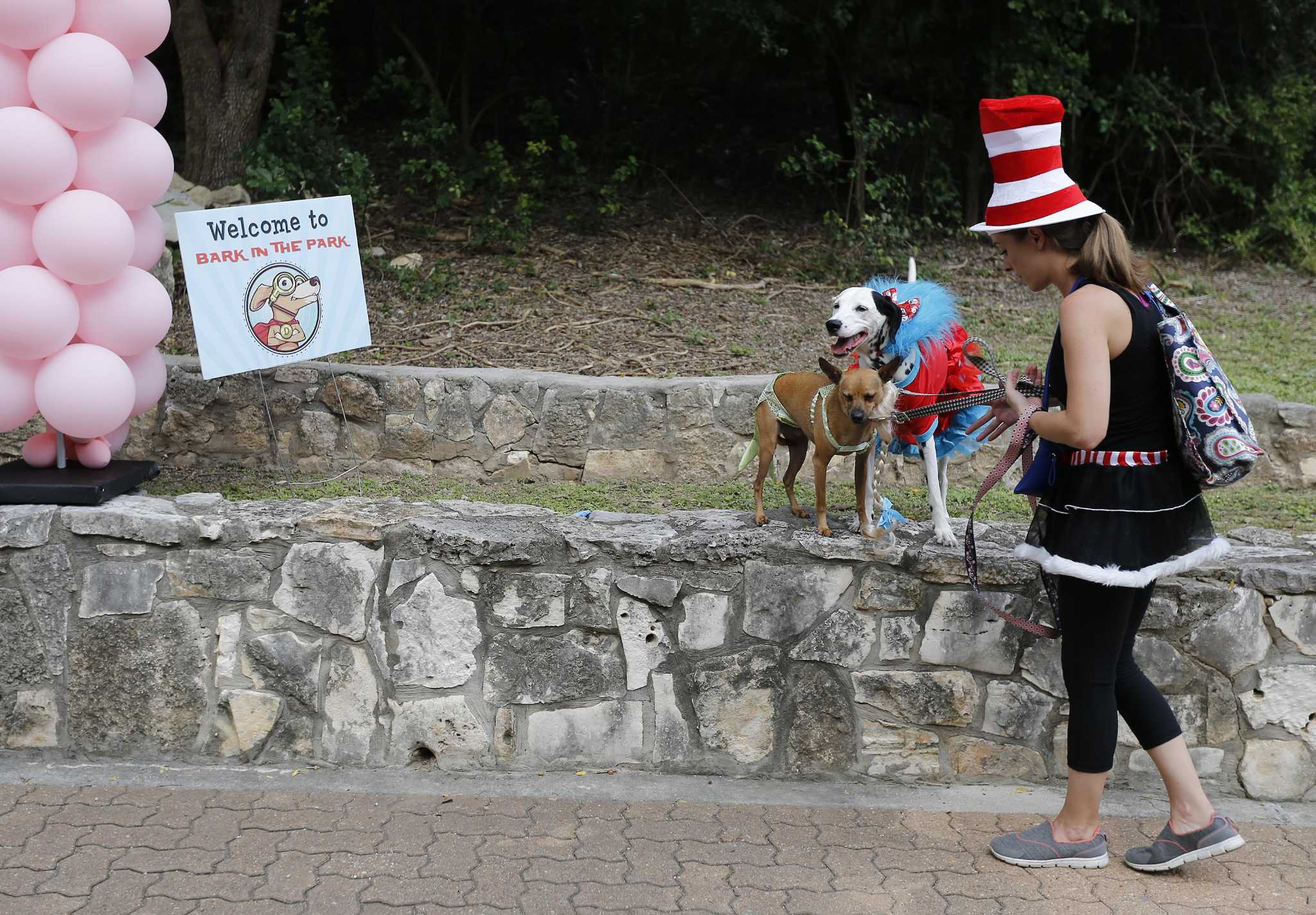 Good Dog Good Treats @ Bark In the Park, San Antonio Sunken