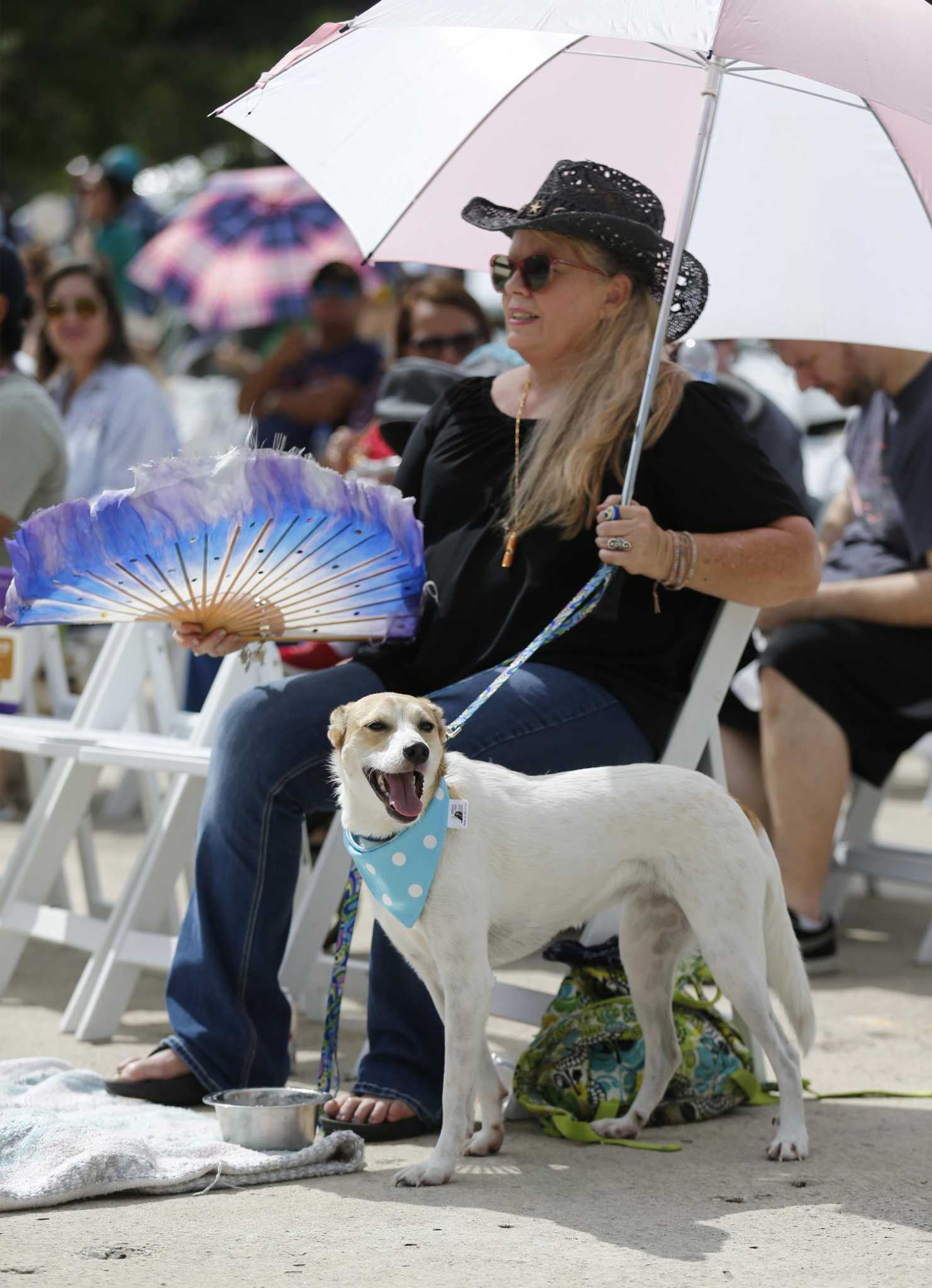 Bark in the Park Pet Costume Contest, Great Day SA