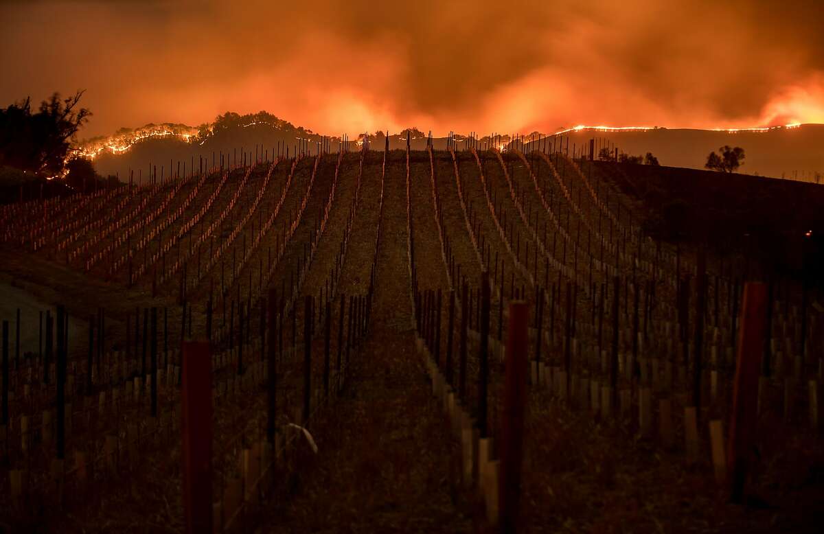 Flames burn along a ridge top behind a Partrick Rd. vineyard in Napa, Calif., on Monday, Oct. 9, 2017.