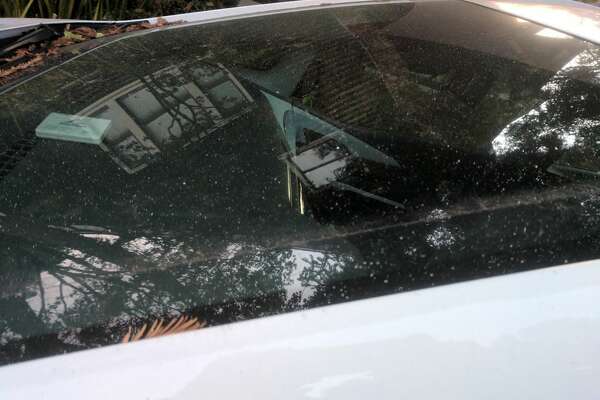 It S Raining Ash In The East Bay As Wildfires Rage Wine Country It S Raining Ash In The East Bay As