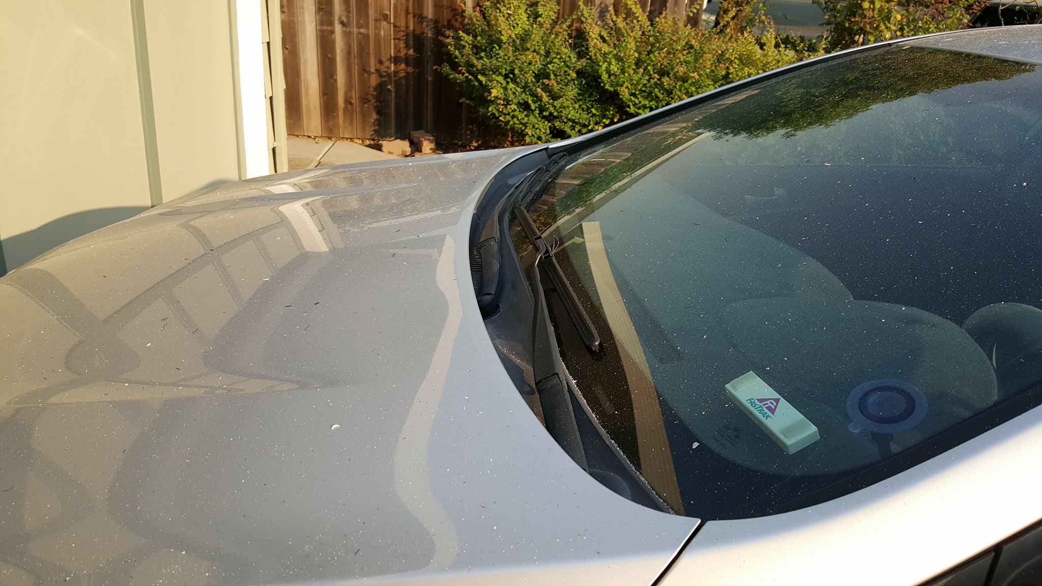 Ash falls from the sky around Bay Area as wildfires rage