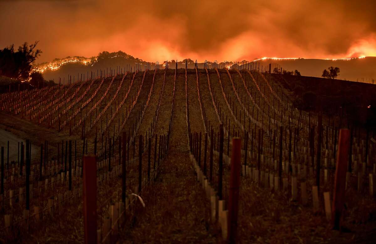 Flames burn along a ridge behind a Partrick Road vineyard in Napa on Oct. 9.