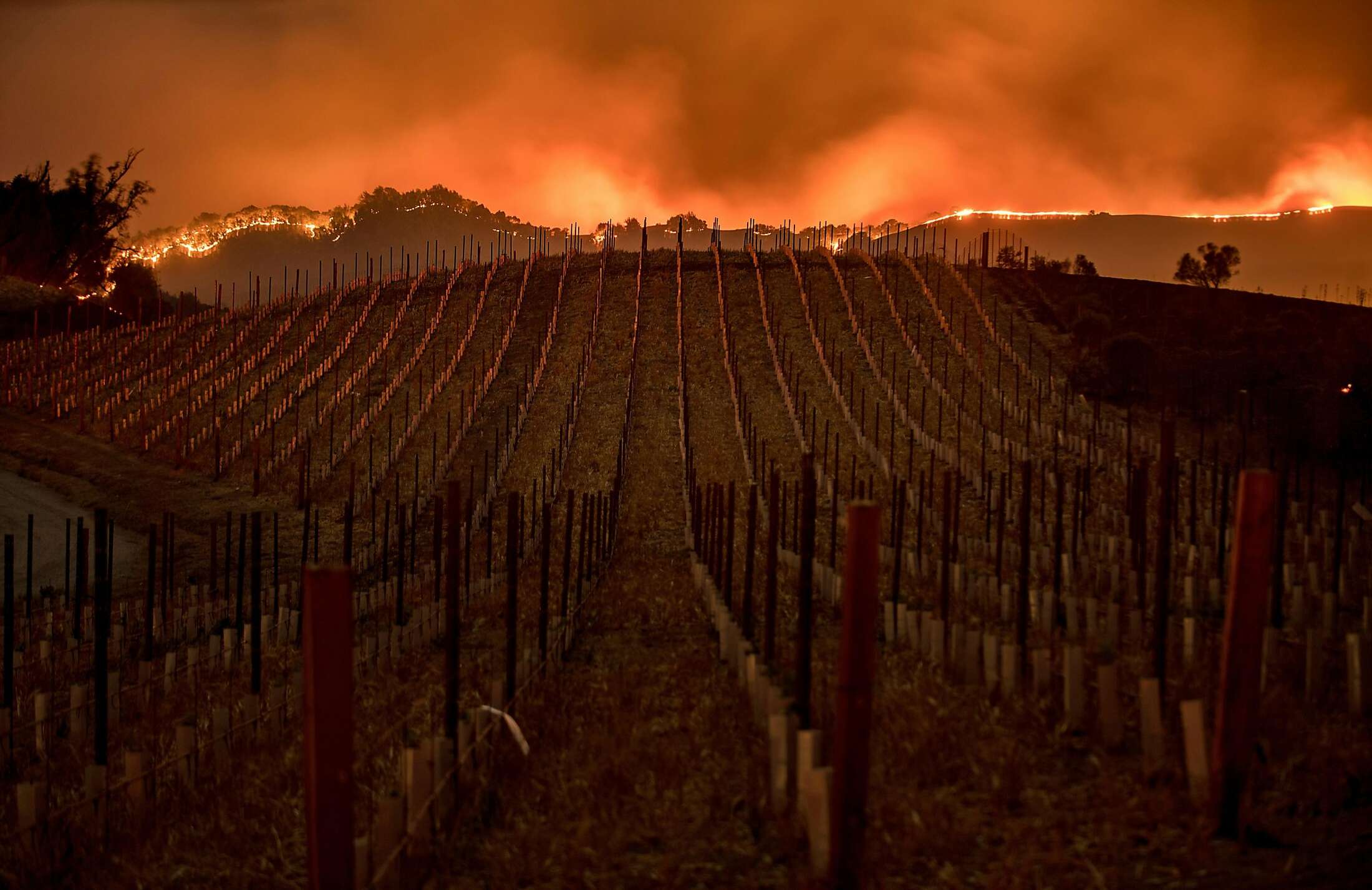 List of wineries damaged in the Wine Country fires [Updates]