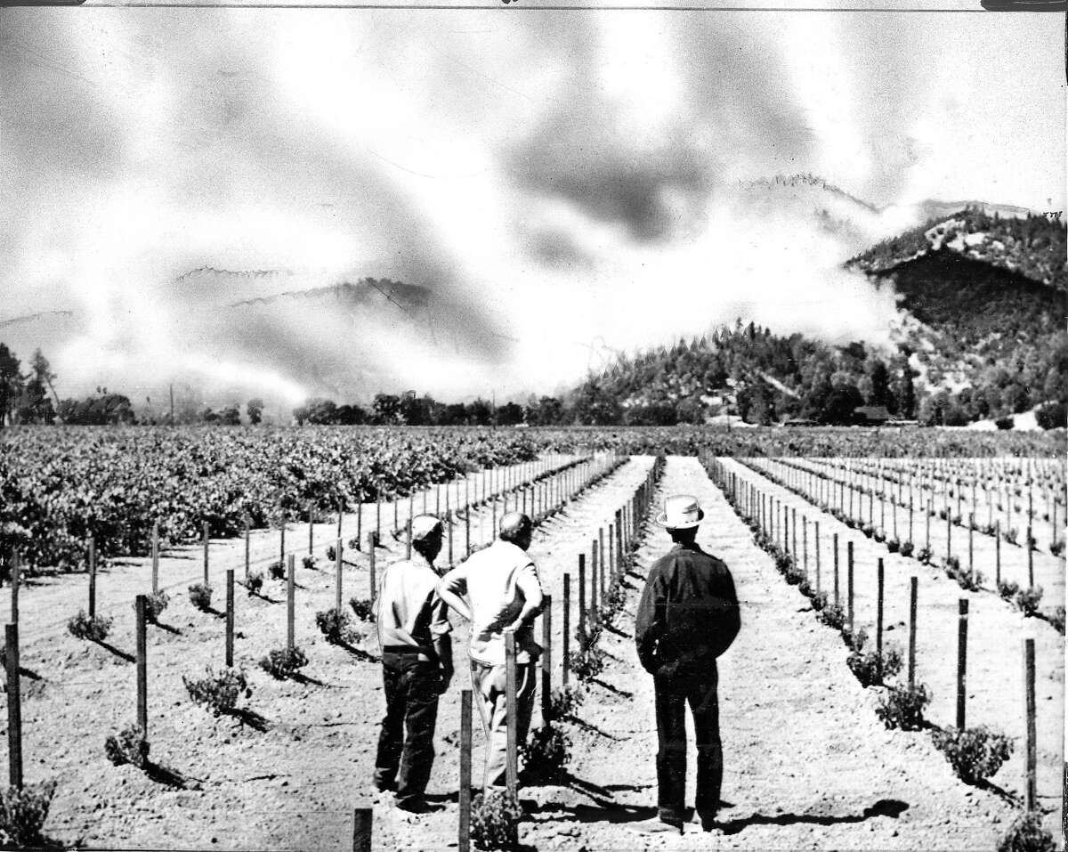 The Hanly fire September 1964 Vineyard workers, watch the brushfire in the foothills above the winery near Calistoga. Associated Press photo, ran 09/23/1964, p. 1
