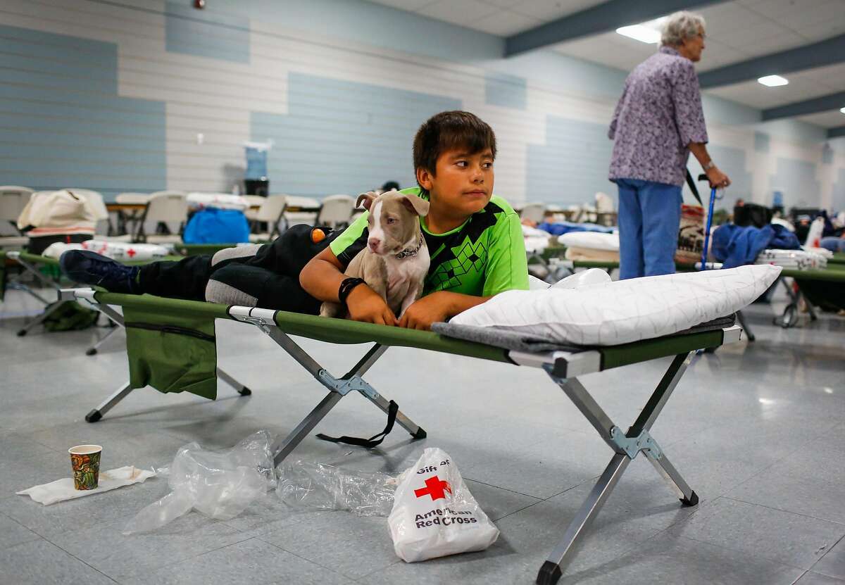 Evacuee Junior Gomez, 11, rests with his puppy Smoky, 2 months at a Red Cross shelter after evacuating his home with his parents following the Tubbs fire in Santa Rosa, Calif., on Monday, Oct. 9, 2017.