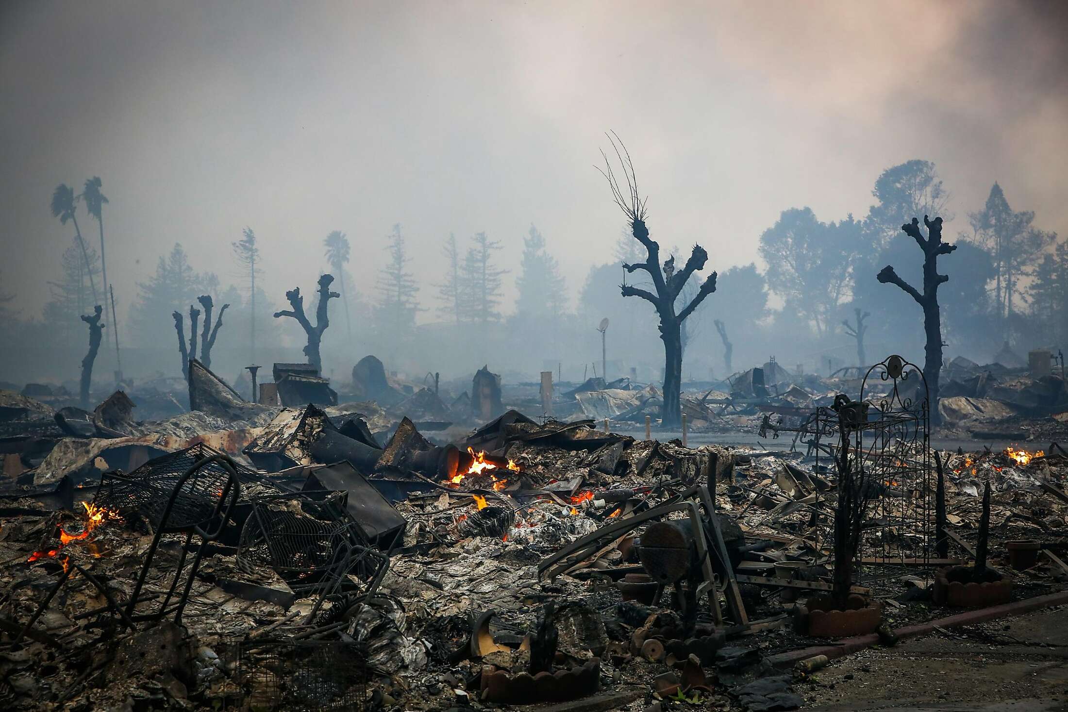 Фото Лесов До И После