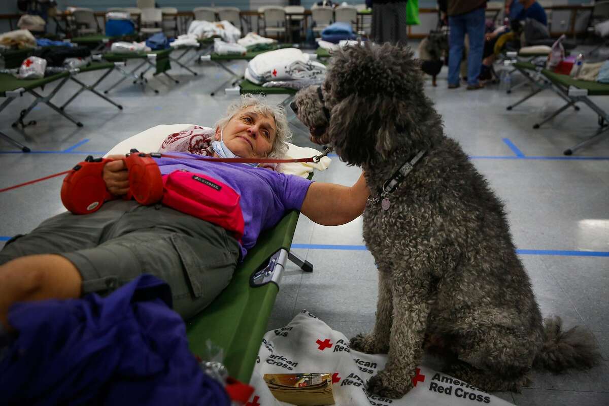 Evacuee Martha Lynn rests with her dogs Broonzy (not pictured) and Golly (right) at a Red Cross shelter after evacuating her home following the Tubbs fire in Santa Rosa, Calif., on Monday, Oct. 9, 2017.