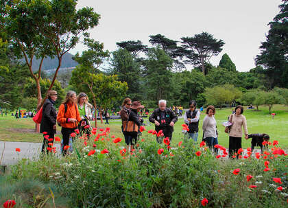 Exclusive Tour Of Sf Botanical Garden Sfchronicle Com