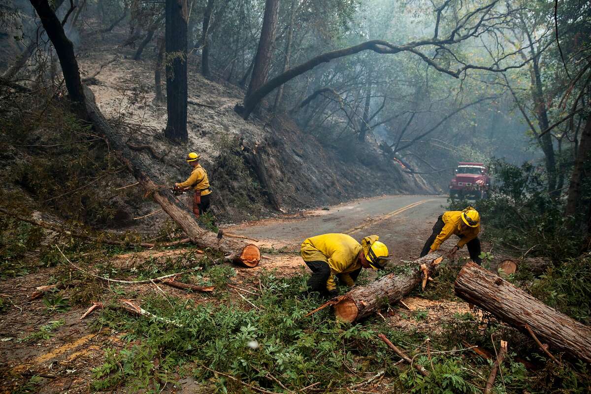 Fire fighters clear a downed tree from across Mt Veeder Rd after flames from the Nuns fire moved through the Mt Veeder area in Napa, California, USA 11 Oct 2017.