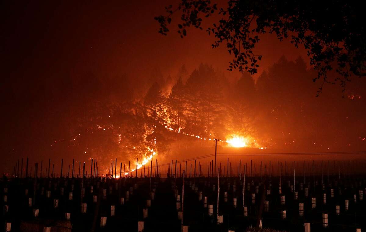 A grove of trees near Trinity Road glows as it burns near a vineyard after a mandatory evacuation was called in the area of Glen Ellen, Calif., on Wednesday, October 11, 2017. The Napa and Sonoma valleys continue to be under threat from several fires not yet under control and growing fears that strong winds might worsen the situation.