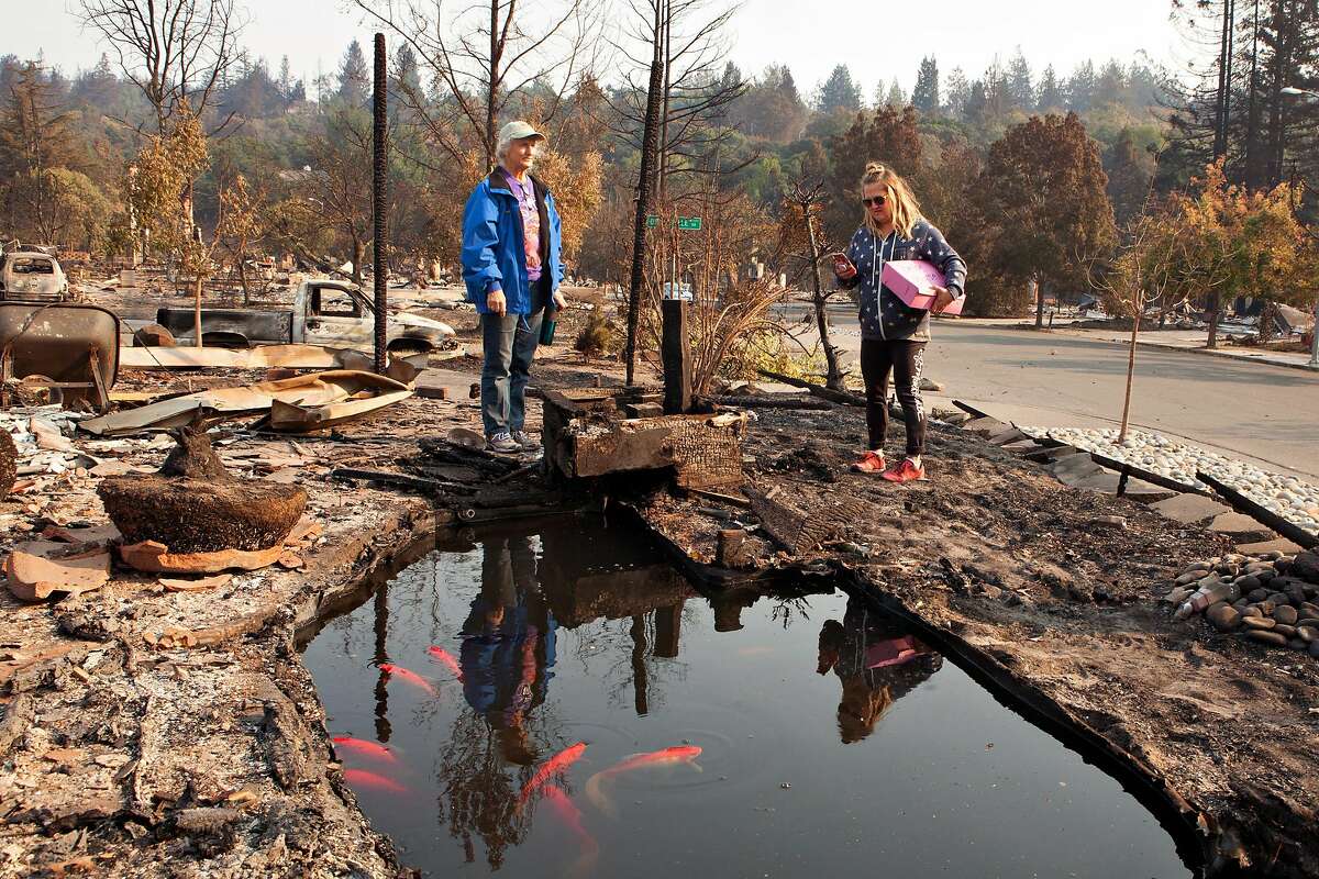Karen Balestieri and Heidi Facciano (left to right) marvel at a pond of live koi fish which survived the Tubbs fire in the neighborhood referred to by locals as 'old fountaingrove' in Santa Rosa, Ca. on Wednesday, October 11, 2017.