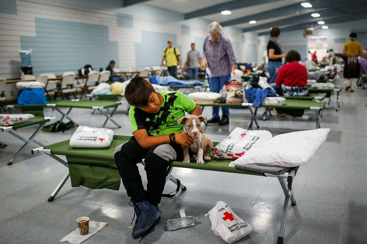 Evacuee Junior Gomez, 11, sits with his puppy Smoky, 2 months at a Red Cross shelter after evacuating his home with his parents following the Tubbs fire in Santa Rosa, Calif., on Monday, Oct. 9, 2017.