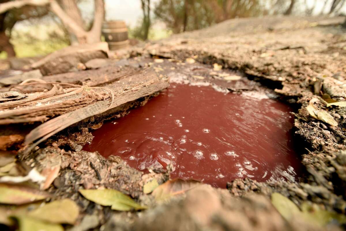 A bubbling underground river of wine flows away from a burned Paradise Ridge Winery in Santa Rosa, California on October 10, 2017. Firefighters encouraged by weakening winds were battling 17 large wildfires on Tuesday in California which have left at least 13 people dead, thousands homeless and ravaged the state's famed wine country.