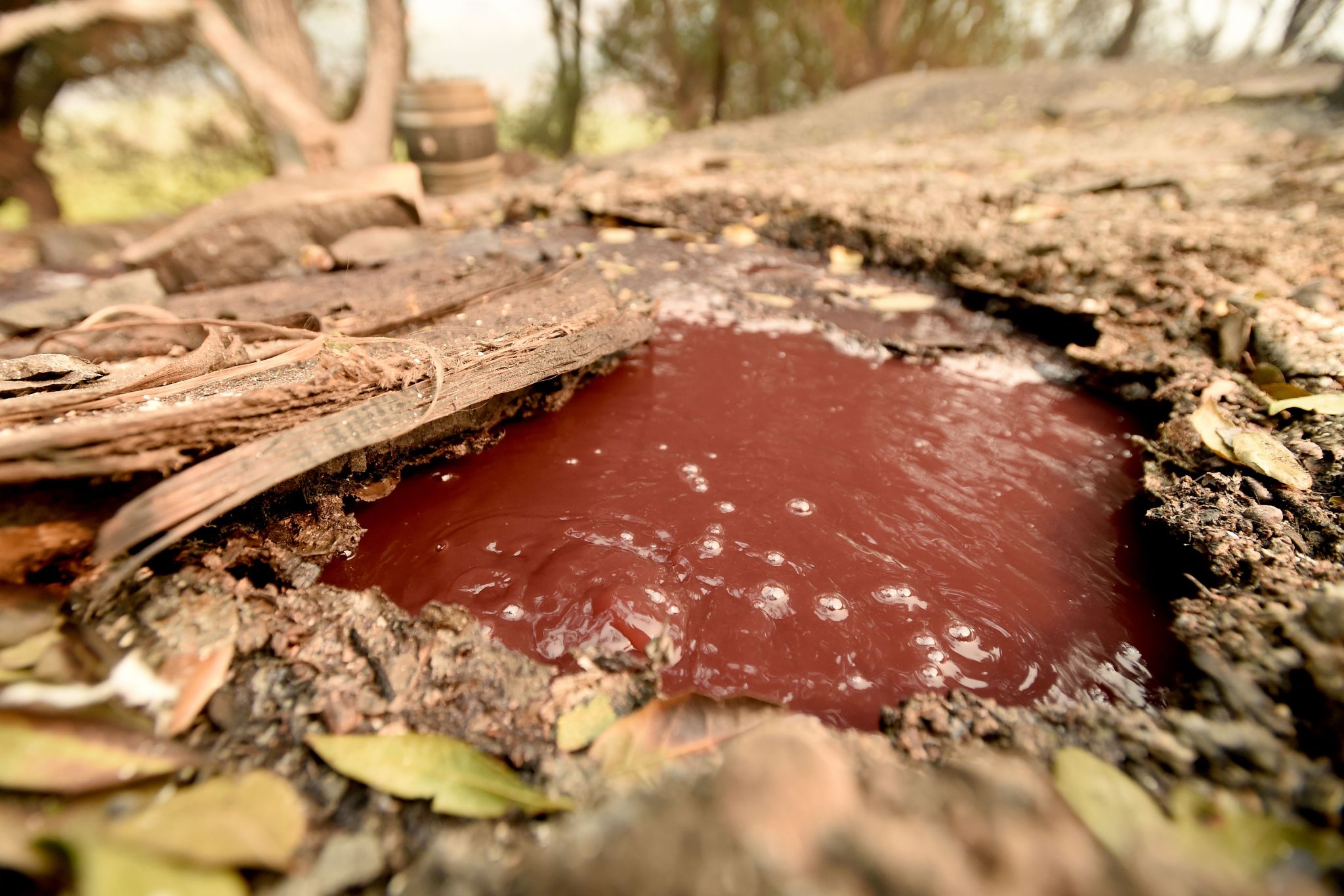 A boiling river of wine runs through a fire-ravaged Santa Rosa winery