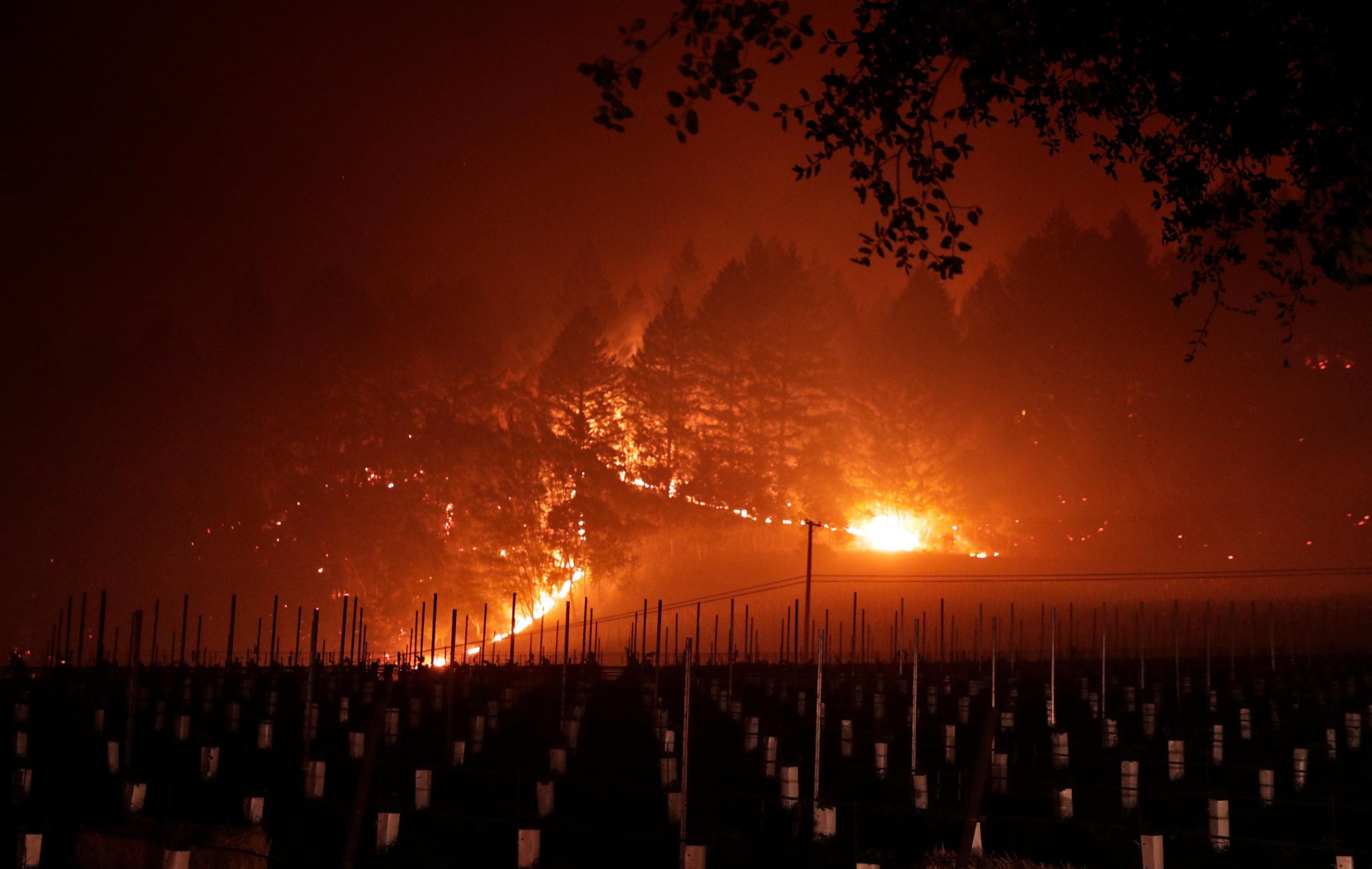 Страна пожаров дата выхода серий. Горит виноградник. Fire Wine Spectrum. Виноградники горят старые фото. Огонь хит.