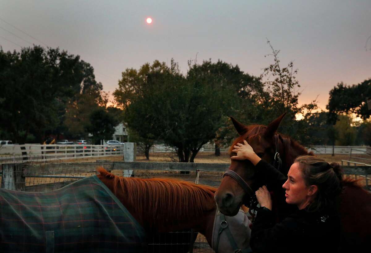 Dr. Emily Putt tries to calm an anxious horse as her friend retrieves tranquilizers to administer to it as they rescue two horses for an evacuation Oct. 11, 2017 in Sonoma, Calif. Putt has been working with her friends since Monday, when the fires broke out, to rescue animals that are being threatened by the fires.