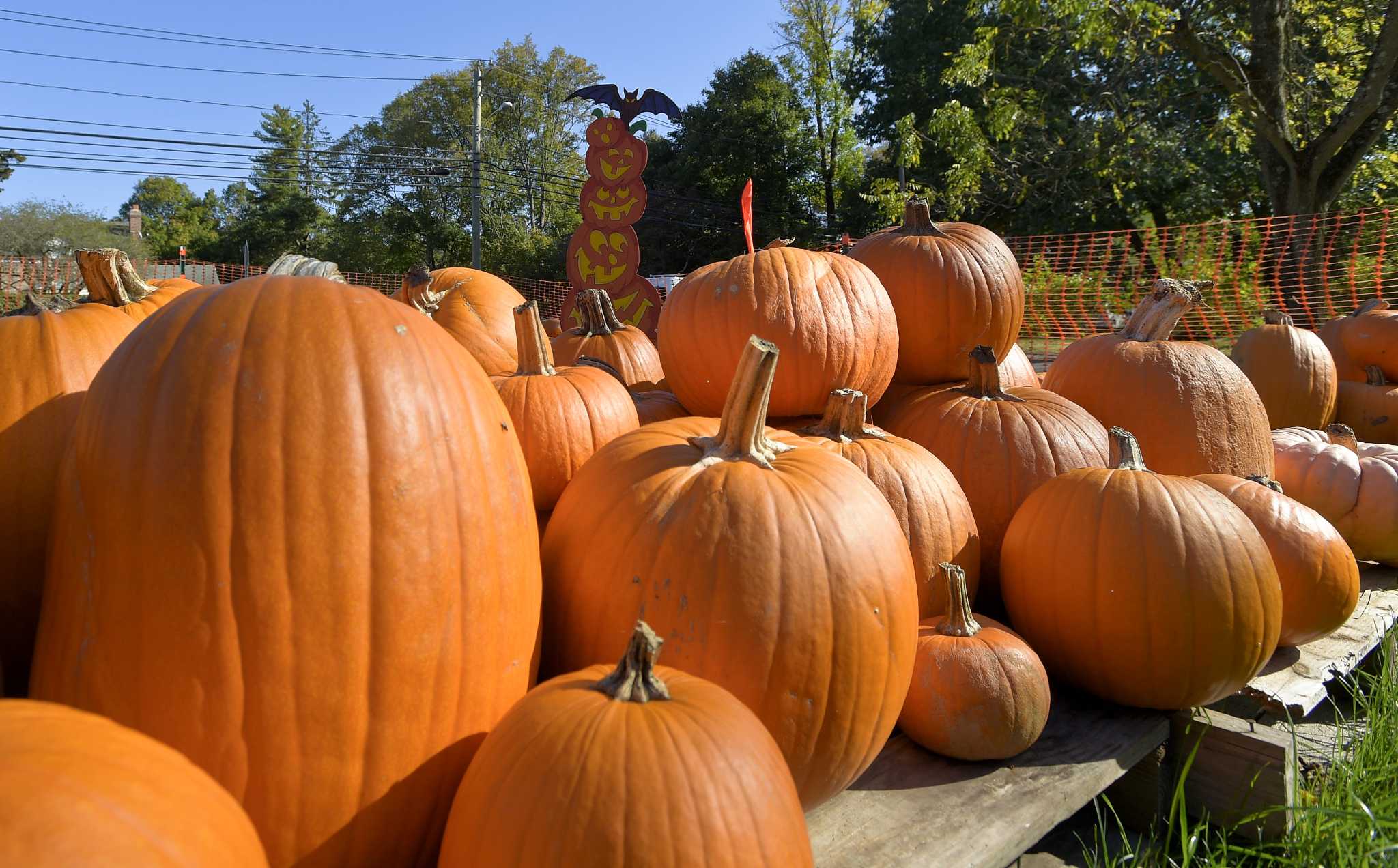 It's National Pumpkin Day! Celebrate your favorite gourd