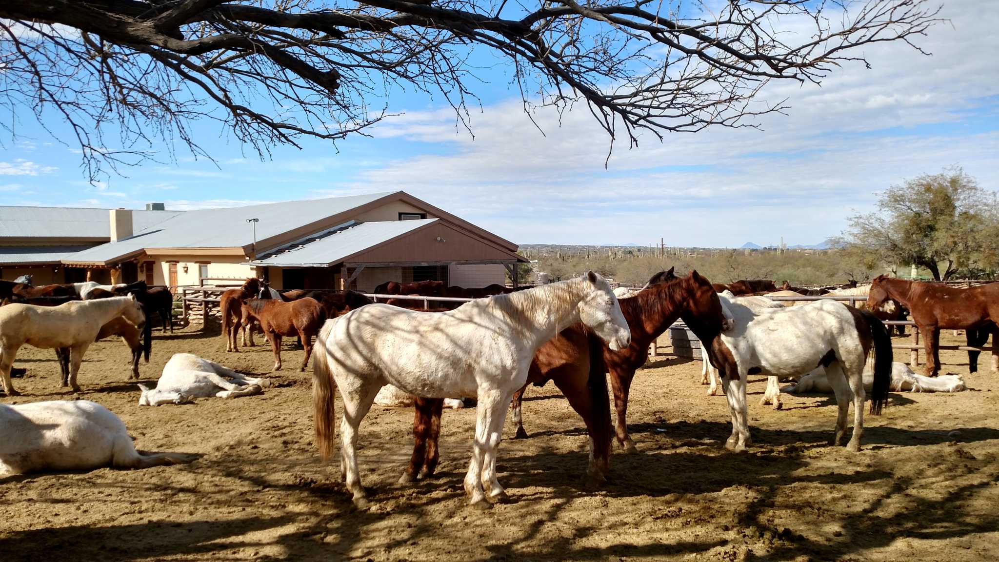 what to wear to a dude ranch