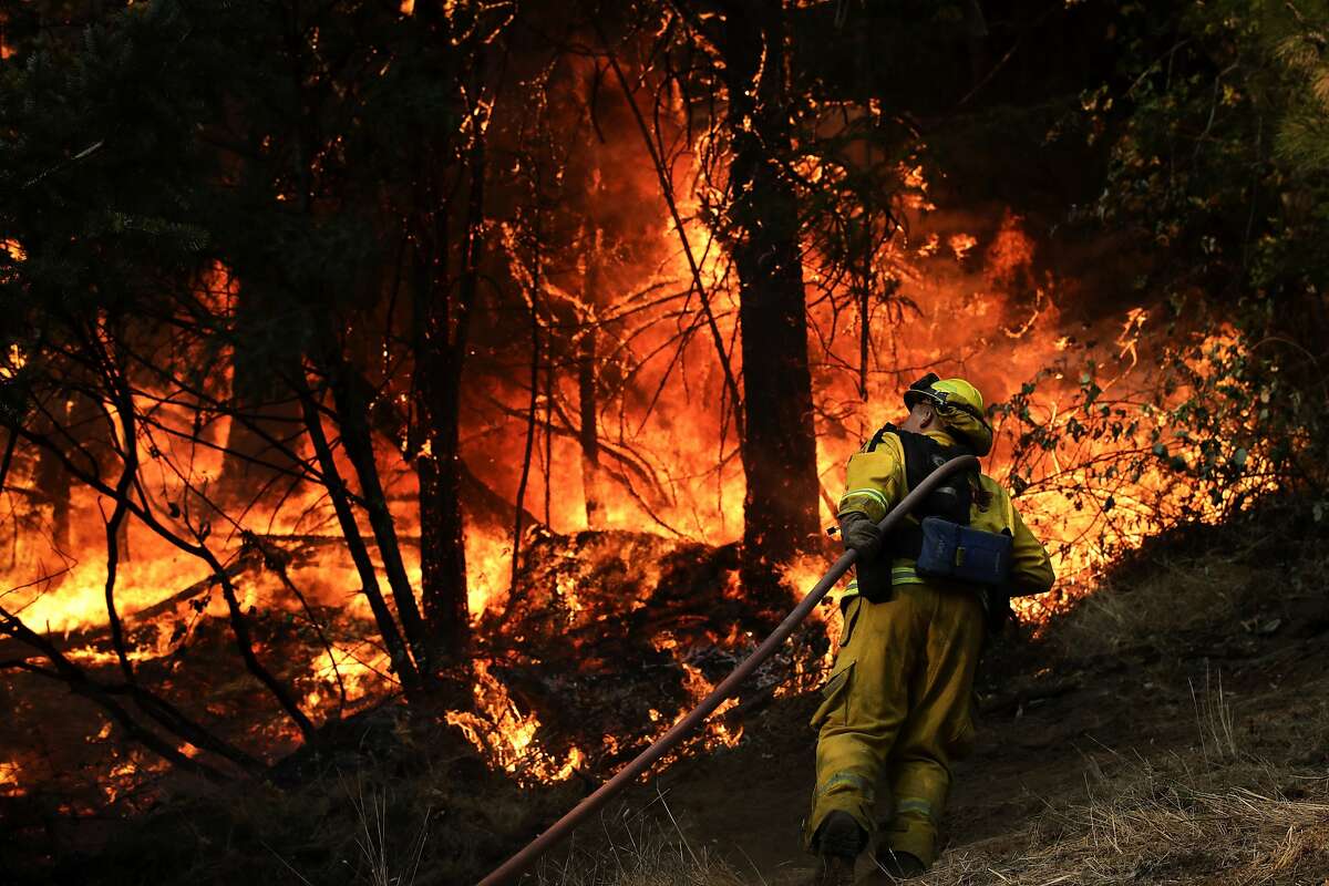 A firefighter carries a water hose to put out a fire during along the Highway 29 Friday, Oct. 13, 2017, near Calistoga, Calif. Firefighters gained some ground on a blaze burning in the heart of California's wine country but face another tough day ahead with low humidity and high winds expected to return. (AP Photo/Jae C. Hong)