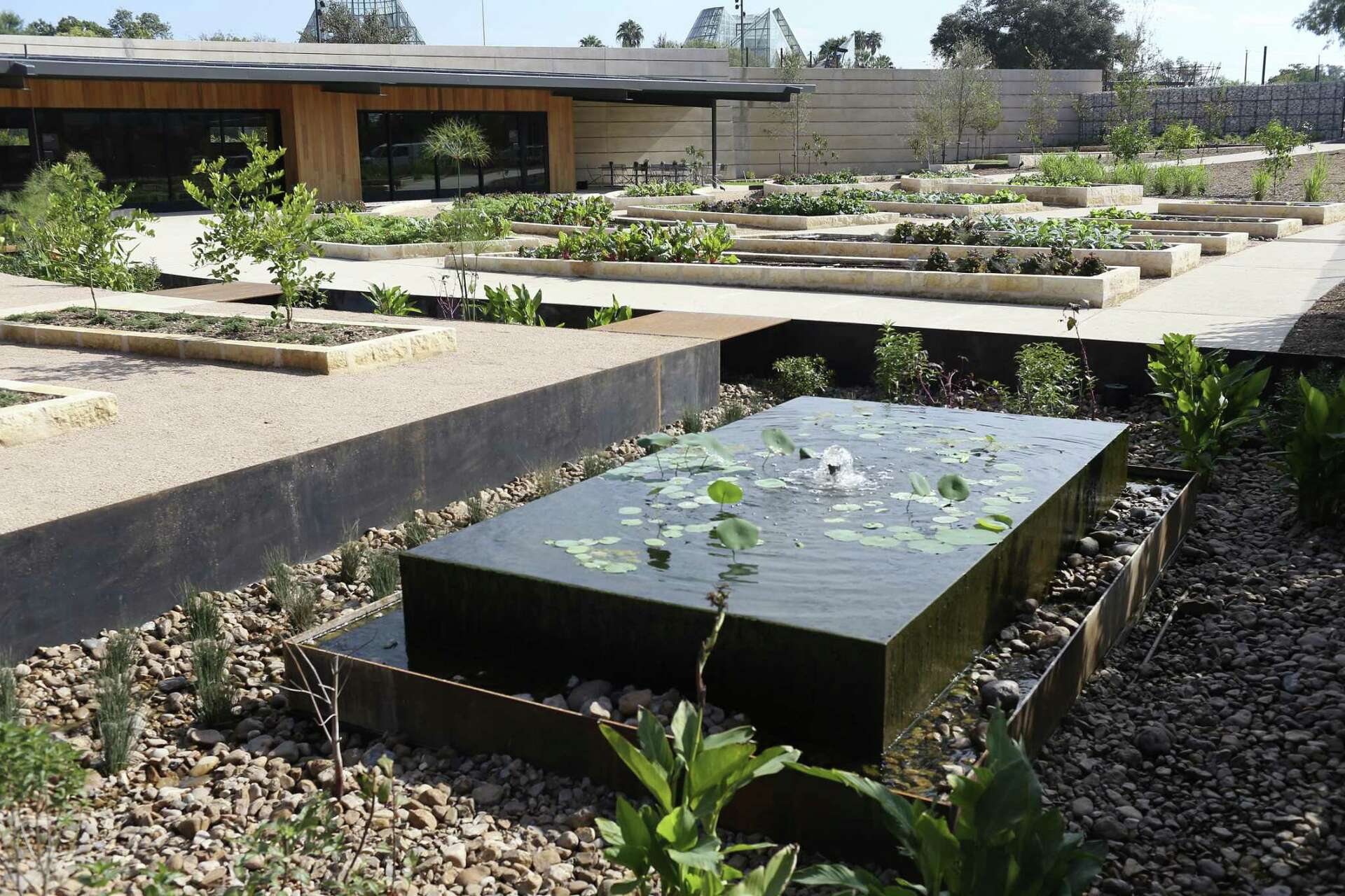 First look at the $22 million San Antonio Botanical Garden