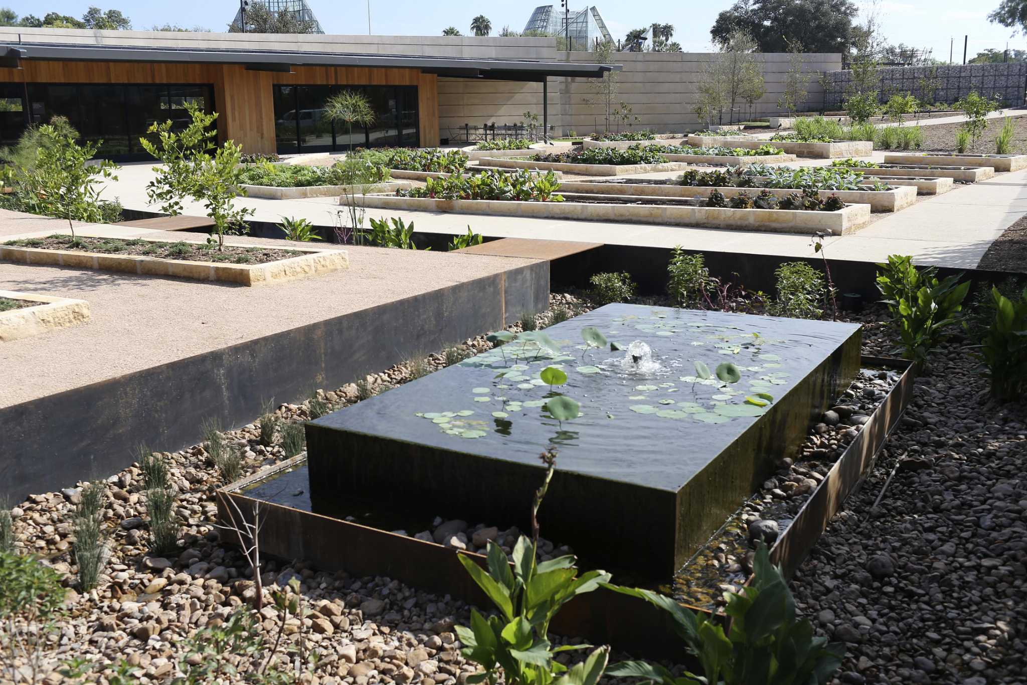 New growth blooms at the San Antonio Botanical Garden